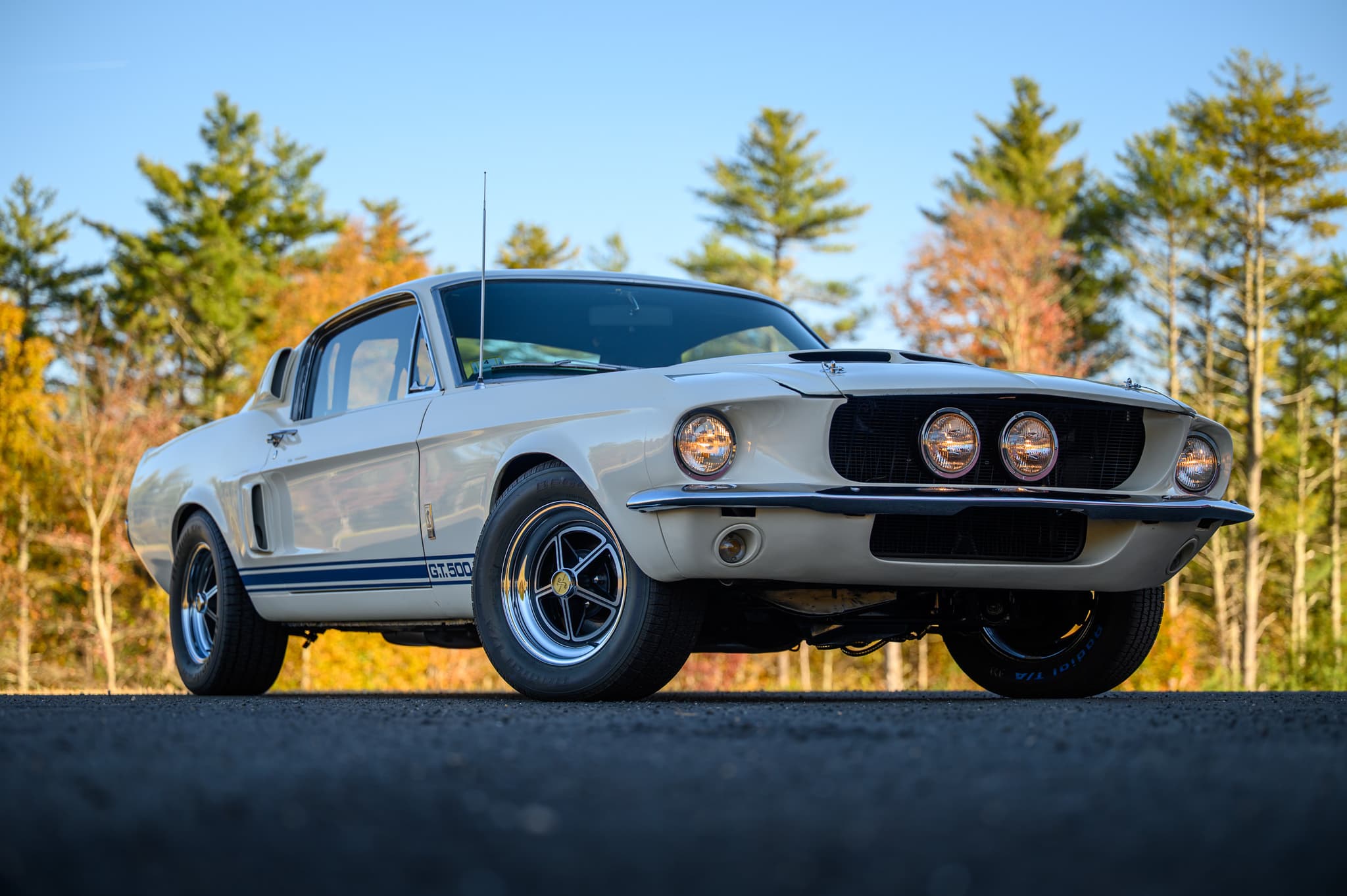 1967 Shelby Mustang GT500 Fastback in New England fall foliage — auction photography